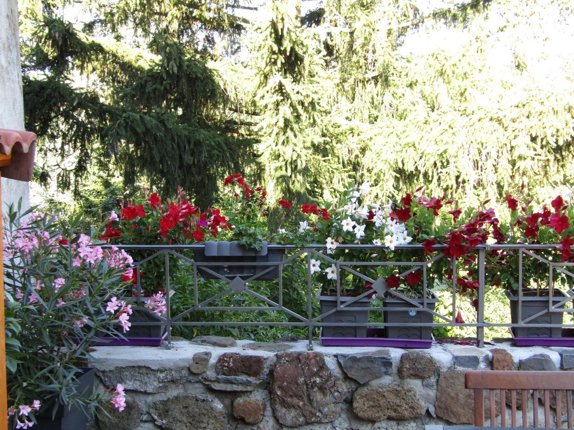 Grande Maison Au Coeur D'Un Village Historique Avec Terrasse Et Wifi Inclus - Fr-1-582-308 Saint-Vidal Dış mekan fotoğraf